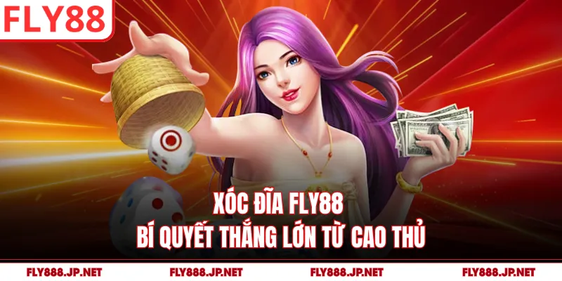 Xóc Đĩa FLY88 - Bí Quyết Thắng Lớn Từ Cao Thủ